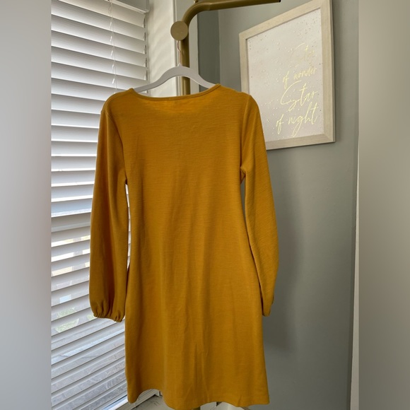 NWT beautiful R. Vivimos fall color dress size medium - Picture 4 of 4